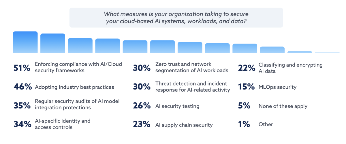 what measures is your organization taking to secure your cloud-based AI systems, workloads and data?